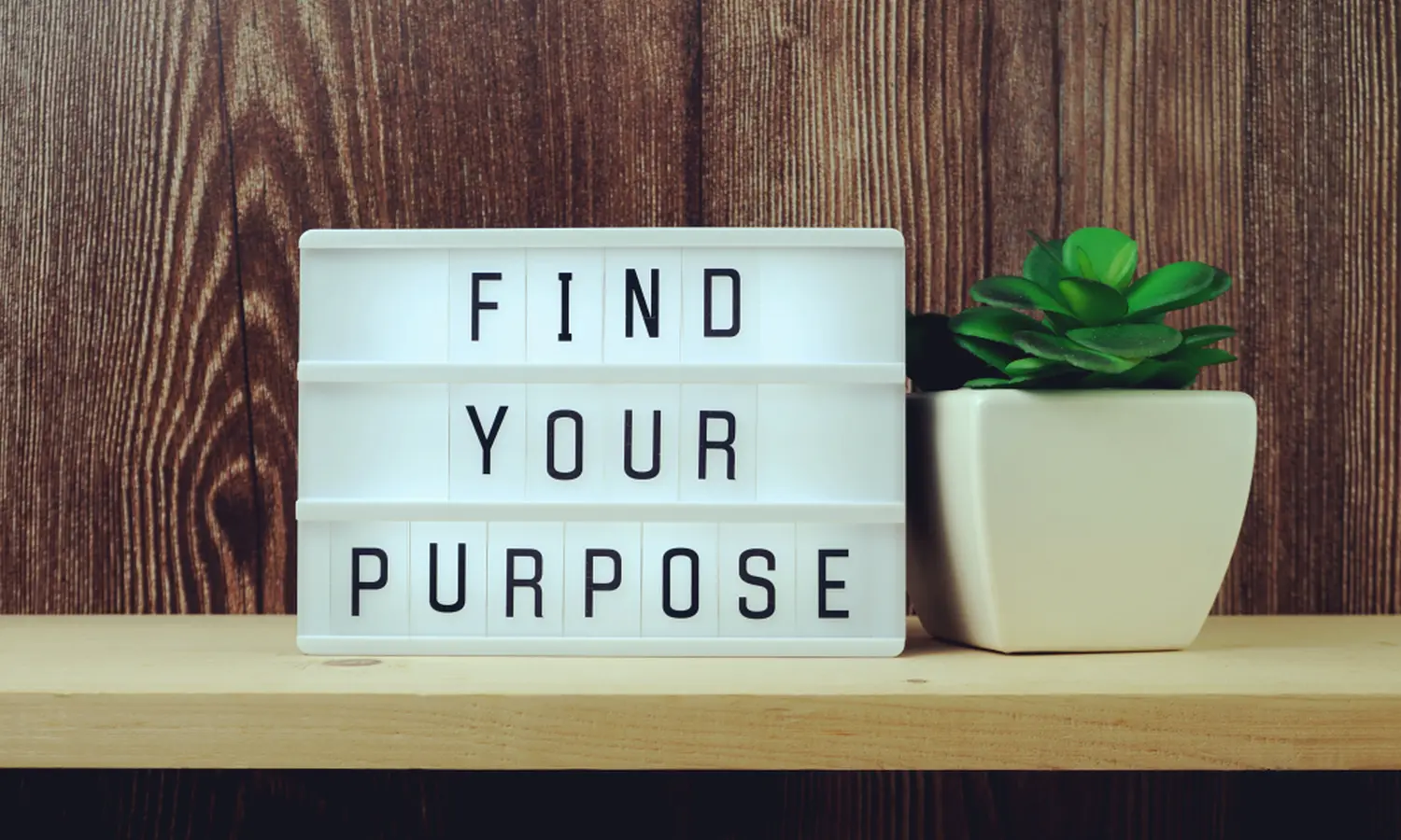 Find your purpose von focus